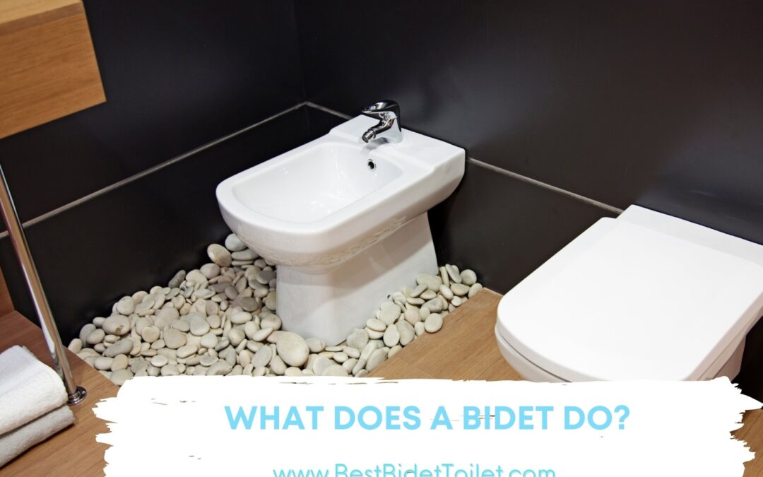 What does a bidet do?